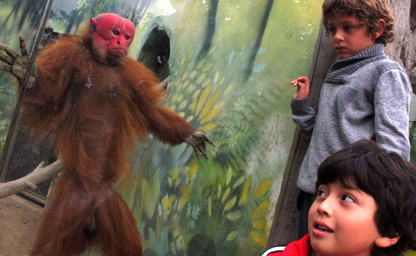 تماشای میمون صورت‌قرمز در باغ‌وحش لیما؛ پرو. (گزارش تصویری)